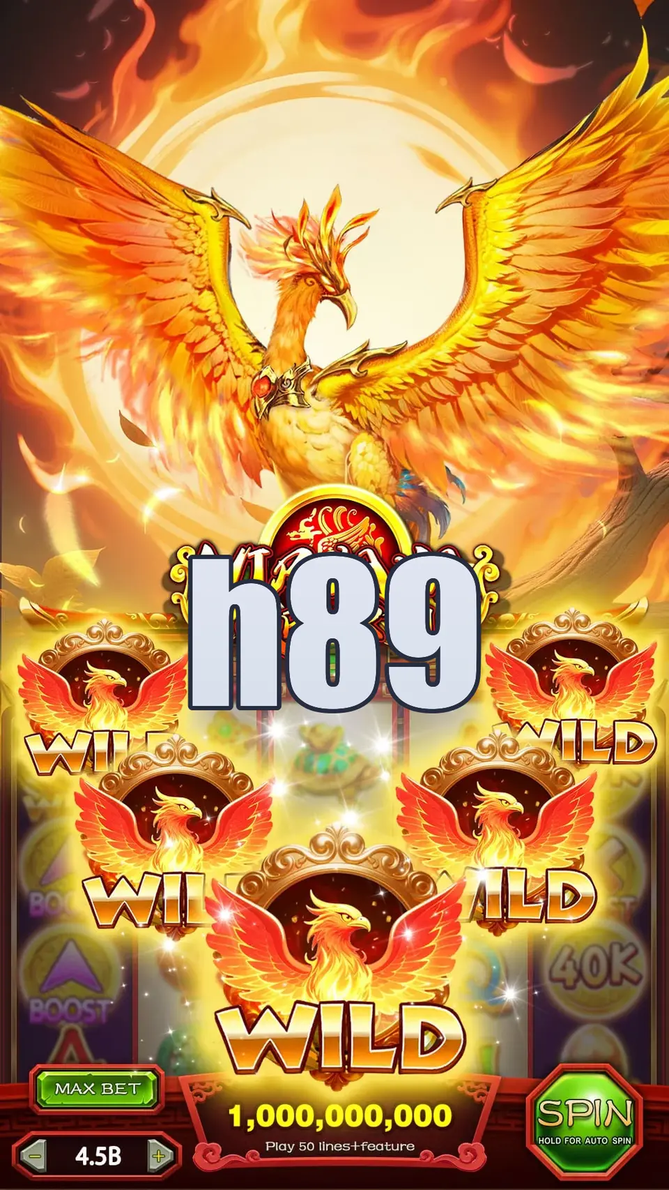 h89 Masuk